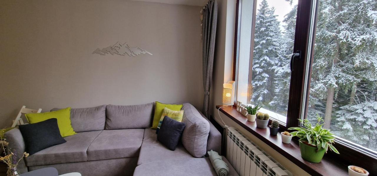 Pine Tree Apartment / Borovets Gardens Exterior foto